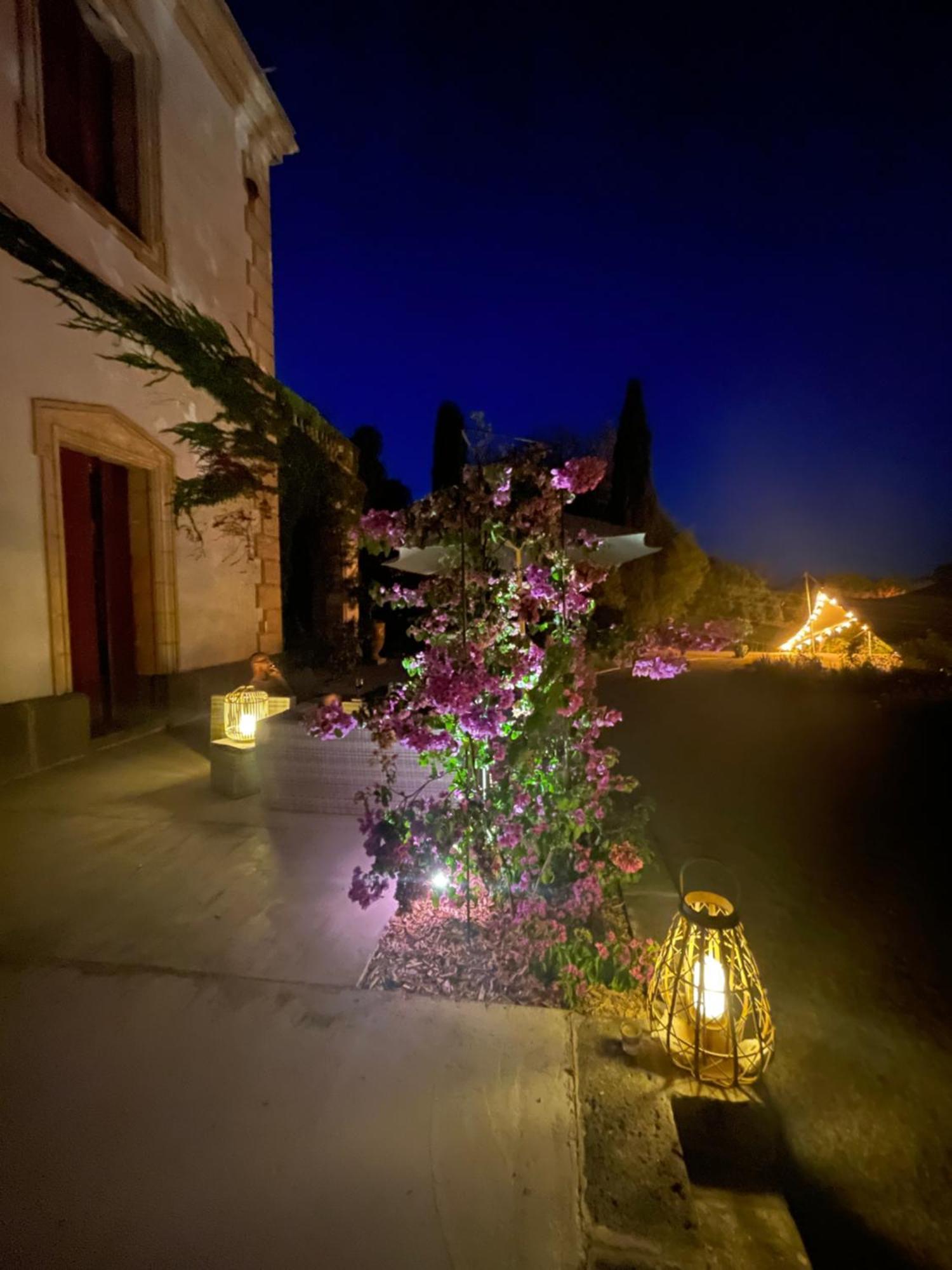 La Bellonette Marseillan  Exterior photo
